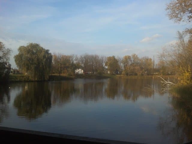 yellow, red, and green trees in the background, blue sky with white clouds, blue lake in front